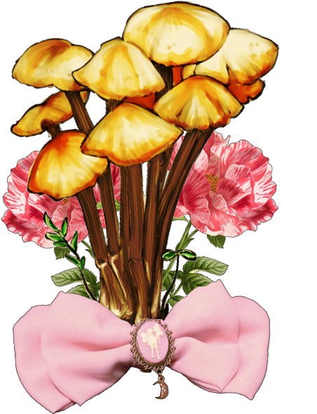 きのこ花束